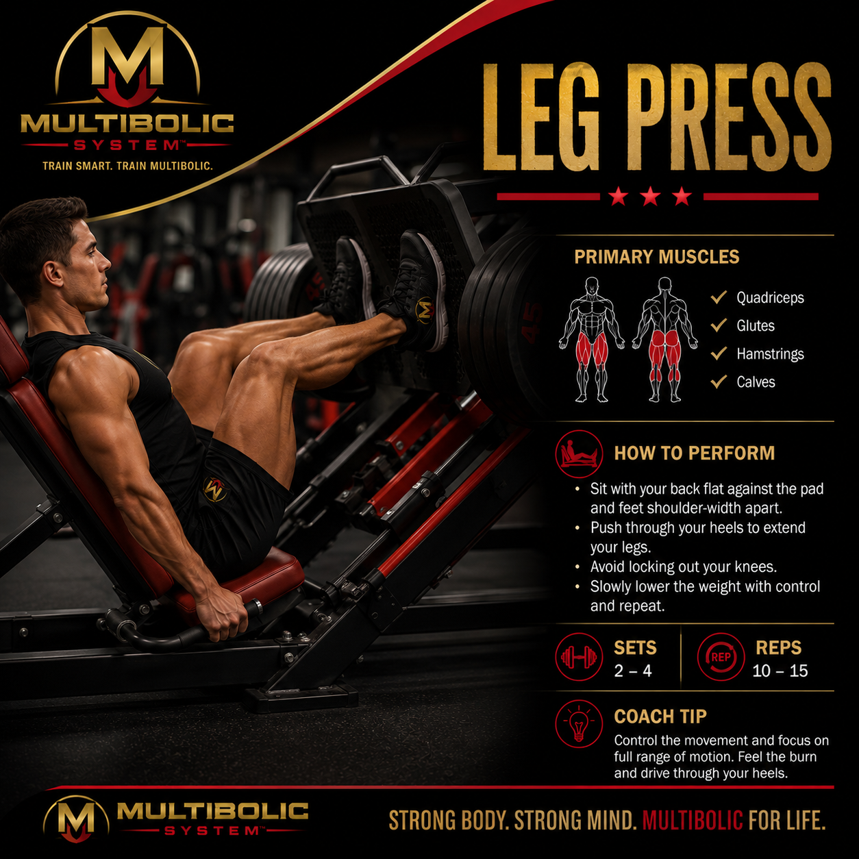 The Leg Press Isn’t Just a Leg Exercise