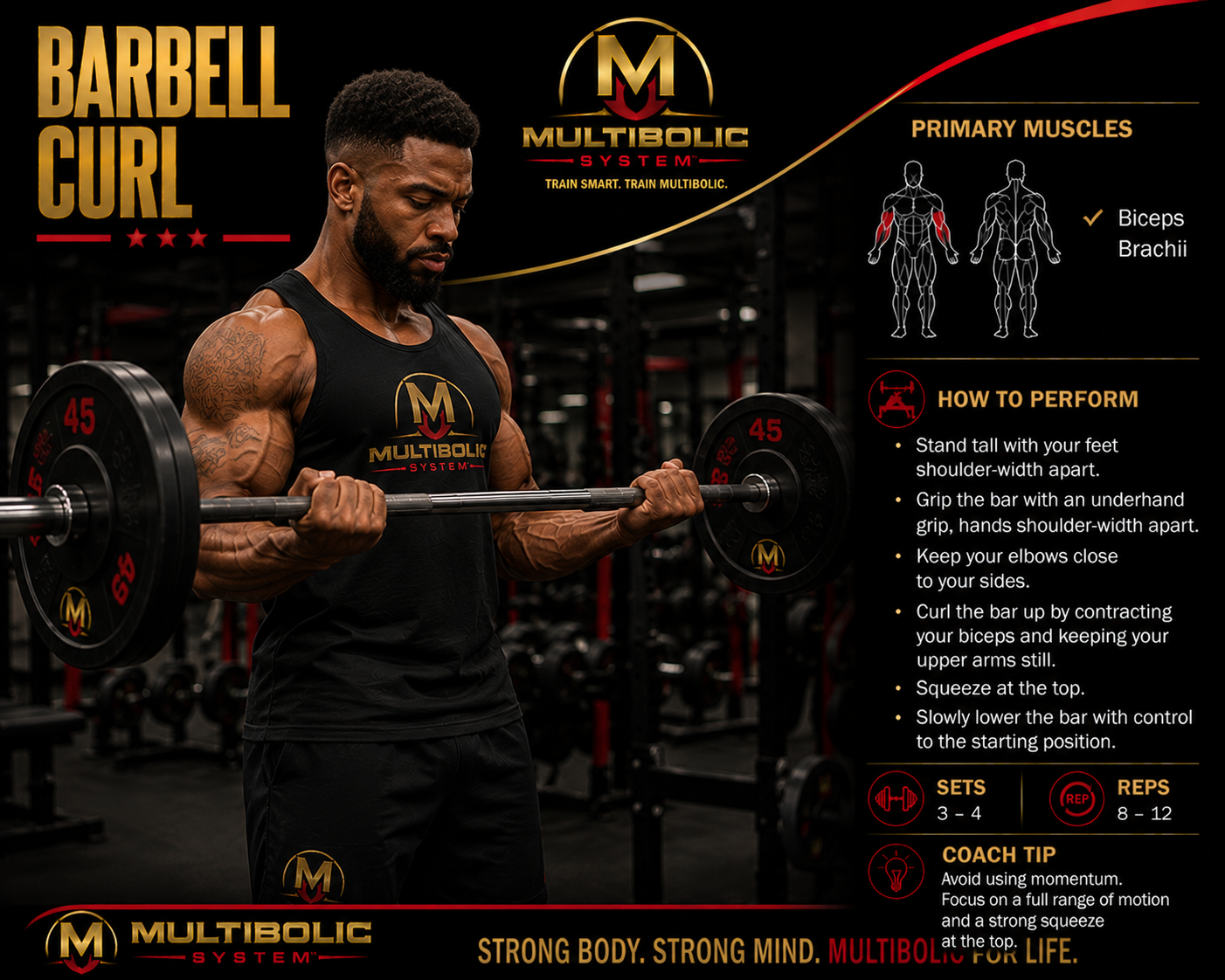 The Barbell Curl