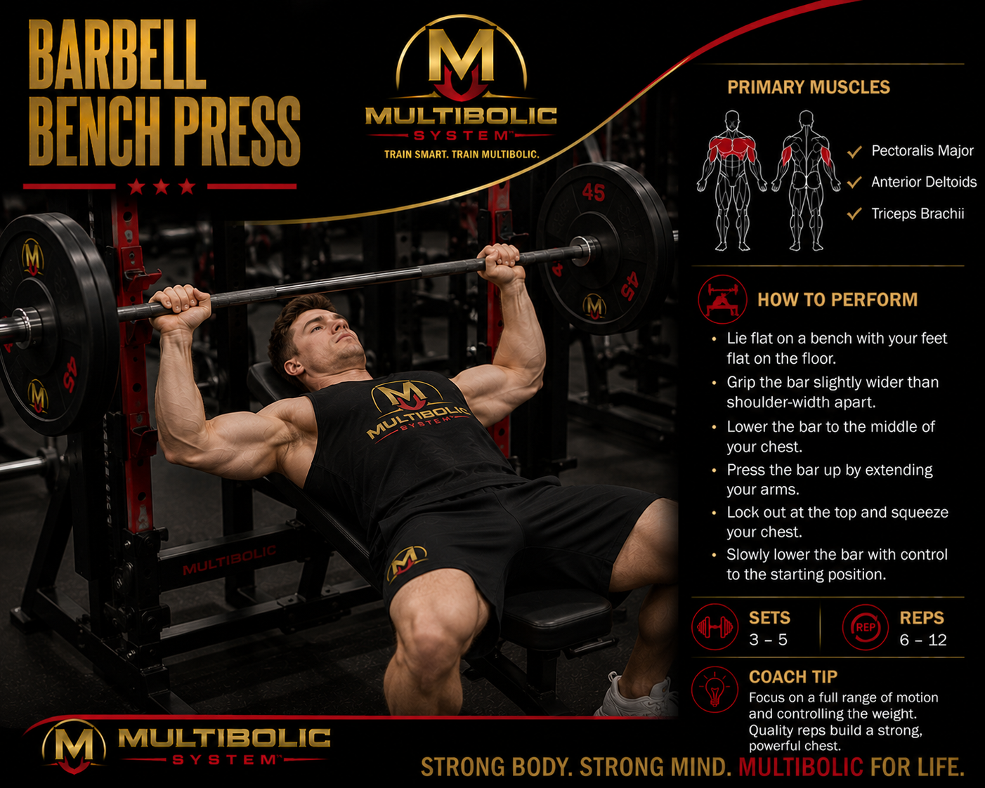 The Barbell Bench Press